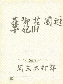 在御花园进入太子妃IH