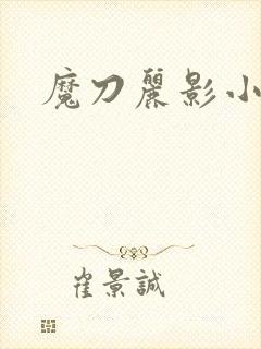 魔刀丽影小说
