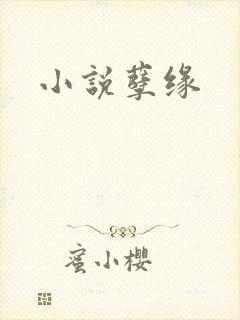 小说孽缘