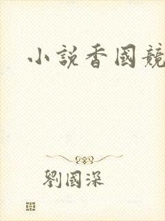 小说香国竞艳