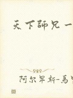 天下师兄一般黑封面