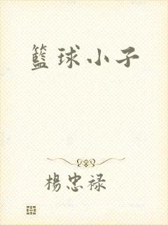 篮球小子