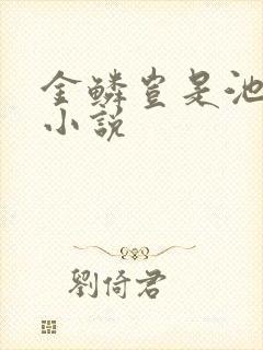 金鳞岂是池中物小说封面