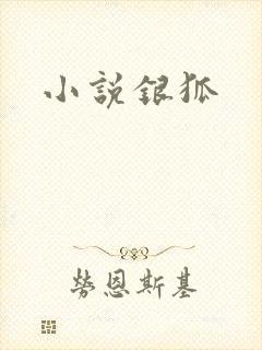 小说银狐封面