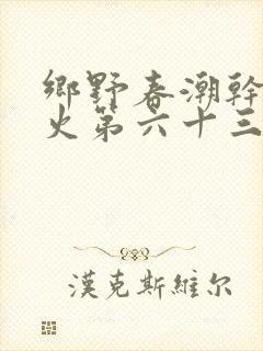 乡野春潮干柴烈火第六十三章