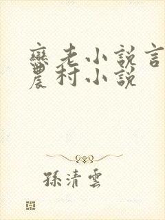 恋老小说言情网农村小说