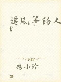 追风筝的人txt封面