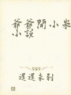 爷爷开小米的包小说