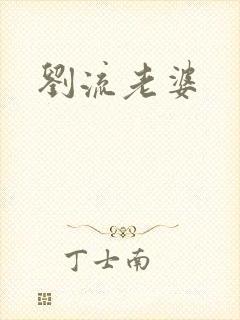 刘流老婆封面