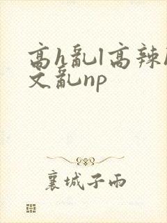高h乱l高辣h文乱np