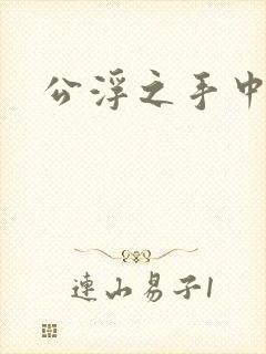 公浮之手中字5封面