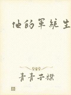 他的军统生涯封面