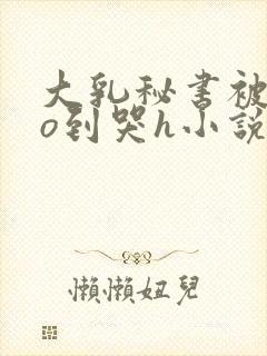 大乳秘书被cao到哭h小说