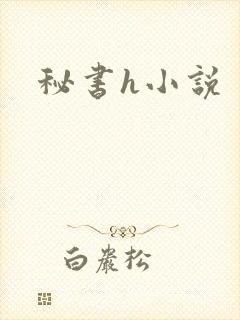秘书h小说