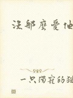 没那么爱他封面