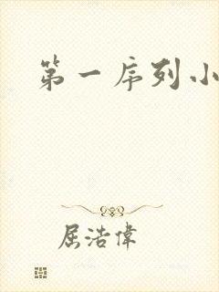 第一序列小说封面