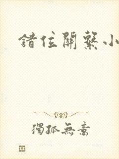 错位关系小说封面