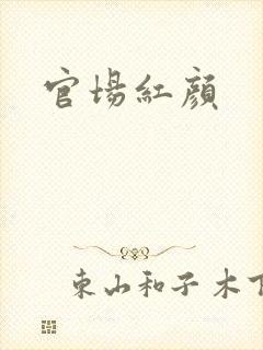官场红颜