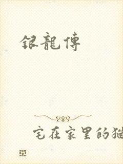 银龙传