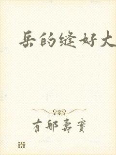 岳的缝好大封面