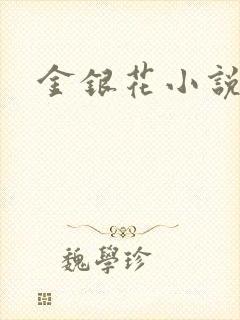 金银花小说乐可封面