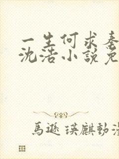 一生何求秦菲雪沈浩小说免费阅读全文封面