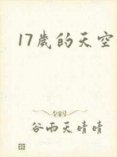 17岁的天空