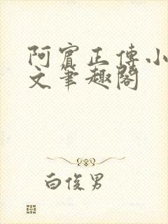 阿宾正传小说全文笔趣阁