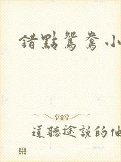 错点鸳鸯小说封面