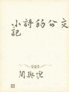 小诗的公交车日记封面