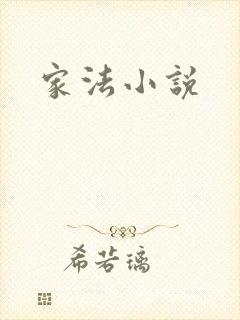 家法小说