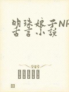明珠娘子NPC古言小说