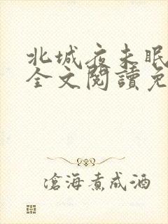 北城夜未眠小说全文阅读免费
