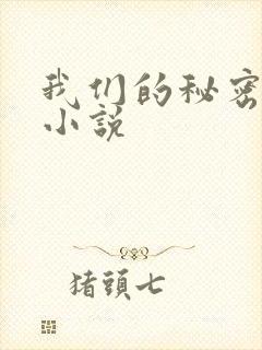 我们的秘密泰剧小说