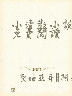 小清欢小说全文免费阅读