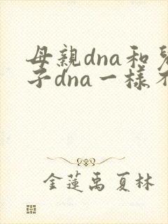 母亲dna和儿子dna一样不封面