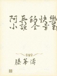 阿兵的快乐生活小说 全章节阅读免费