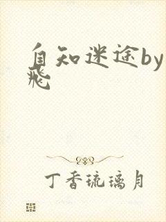 自知迷途by二飞封面