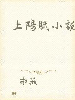 上阳赋小说封面