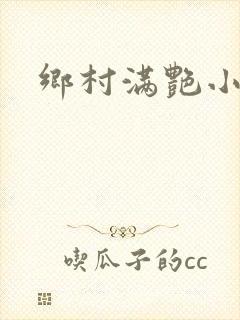 乡村满艳小说封面