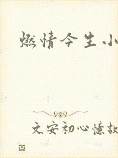 燃情今生小说封面