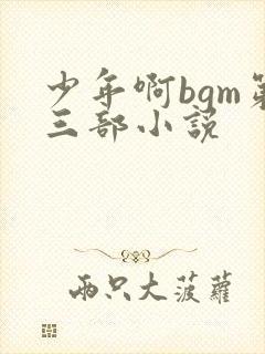 少年啊bgm第三部小说