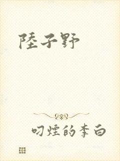 陆子野封面