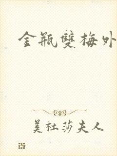 金瓶双梅外传封面