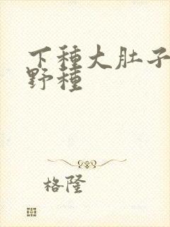 下种大肚子怀孕野种