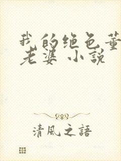 我的绝色董事长老婆 小说