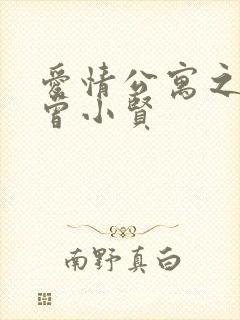 爱情公寓之极品曾小贤