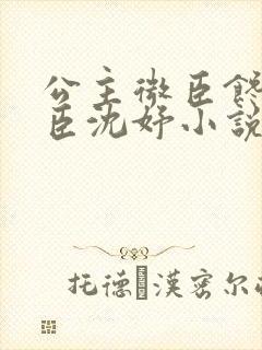 公主微臣馋了微臣沈妤小说