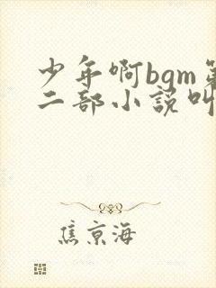 少年啊bgm第二部小说叫什么