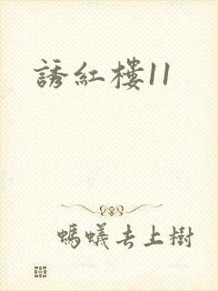 诱红楼11封面